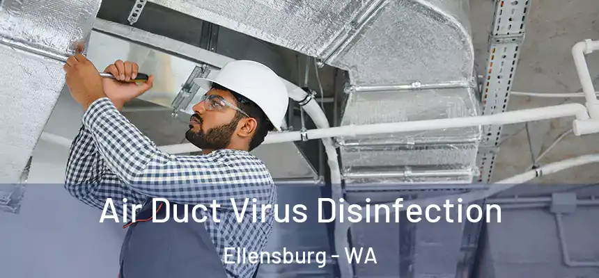  Air Duct Virus Disinfection Ellensburg - WA
