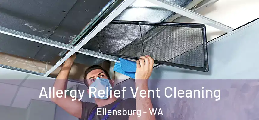  Allergy Relief Vent Cleaning Ellensburg - WA