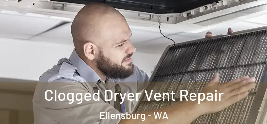  Clogged Dryer Vent Repair Ellensburg - WA