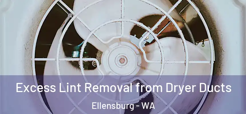  Excess Lint Removal from Dryer Ducts Ellensburg - WA