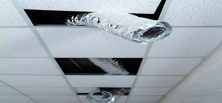 Affordable HVAC Sanitizing After Pest Removal in Ellensburg