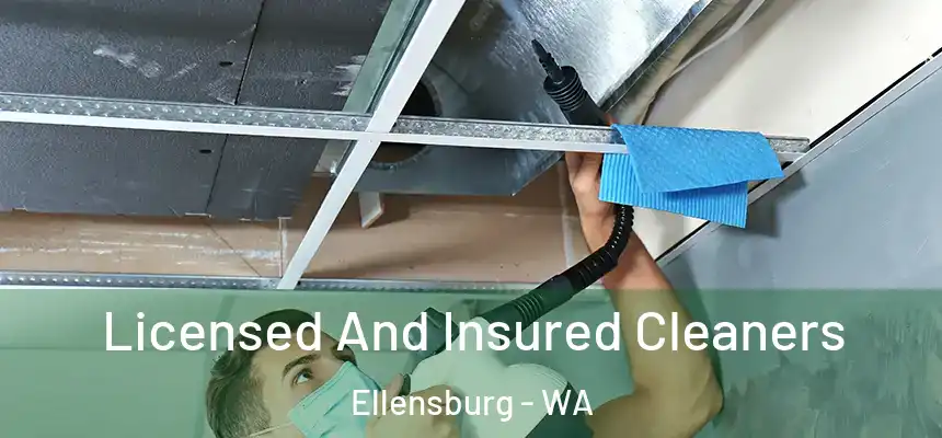  Licensed And Insured Cleaners Ellensburg - WA
