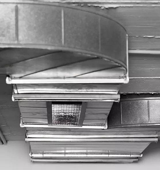 Professional Air Duct Pet Hair Removal in Ellensburg, WA