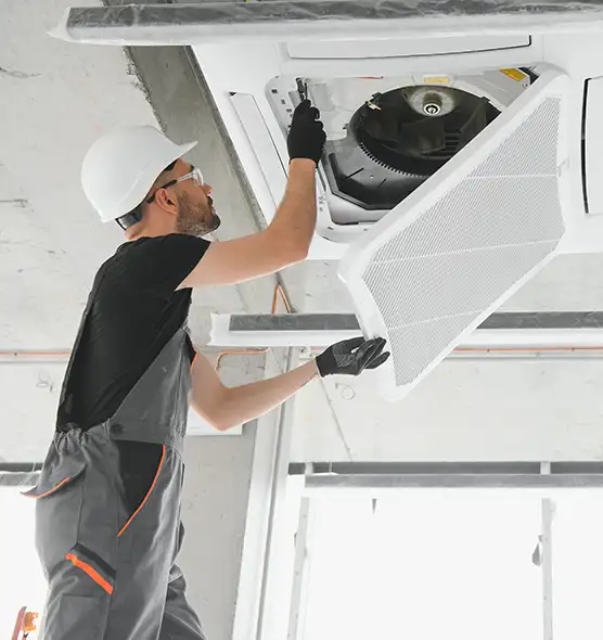 About Air Duct Rodent Removal in Ellensburg, WA