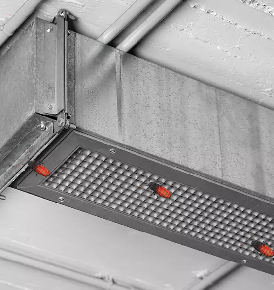 Affordable Insect Removal from Air Ducts in Ellensburg, WA