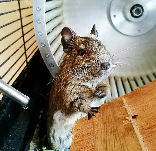 Why Homeowners & Businesses Trust Us Ellensburg, WA