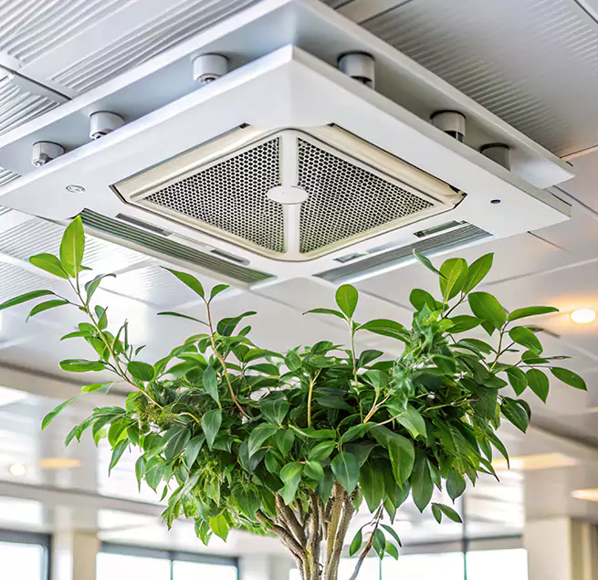 Why Homeowners & Businesses Trust Us in Ellensburg, WA?